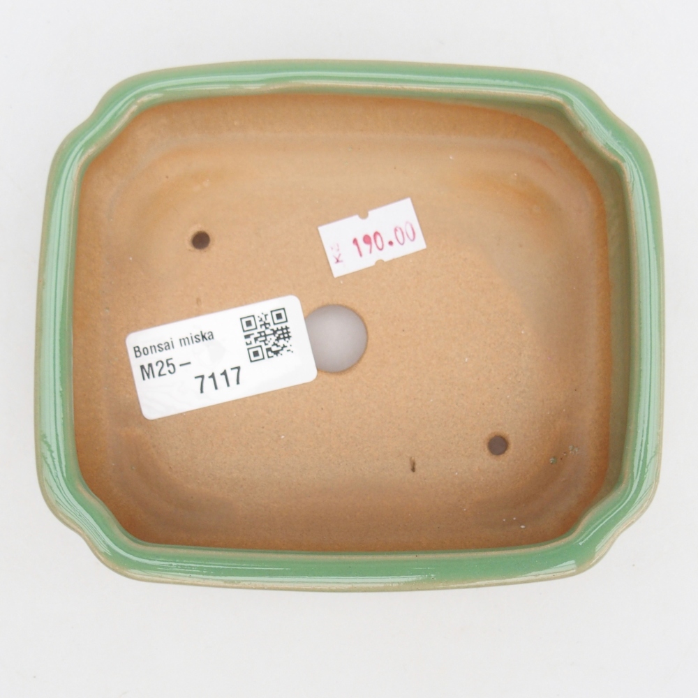 Cuenco bonsái de cerámica 12 x 10 x 4 cm, verde