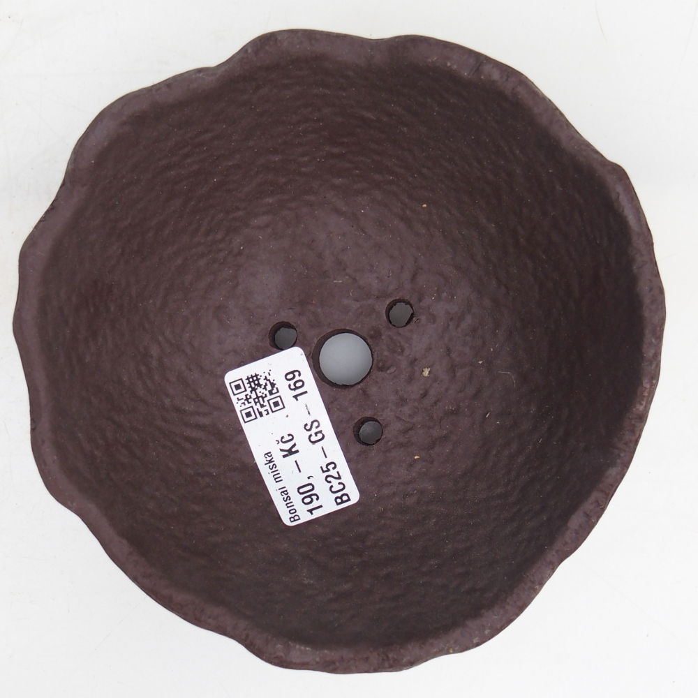 Concha de cerámica 13 x 13 x 5,5 cm , color marrón