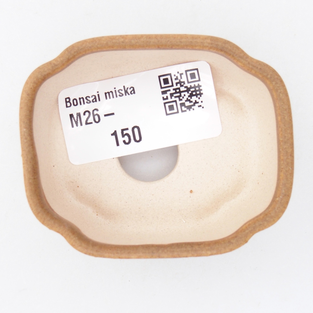 Cuenco mini bonsái 6 x 5 x 3 cm, marrón