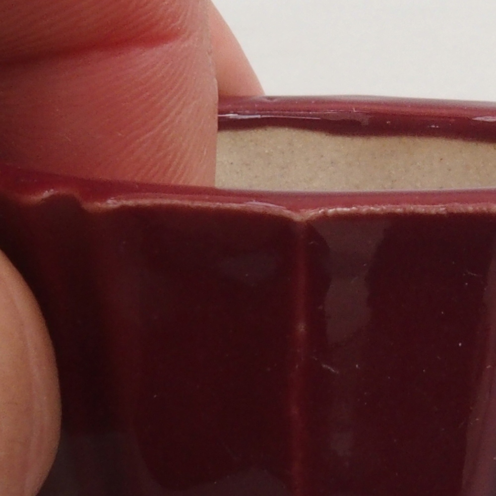 Mini cuenco bonsái 5 x 5 x 3 cm, burdeos