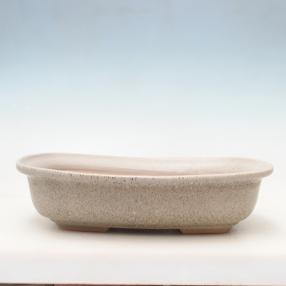 Cuenco bonsái H10 - 37 x 28 x 9 cm - beige