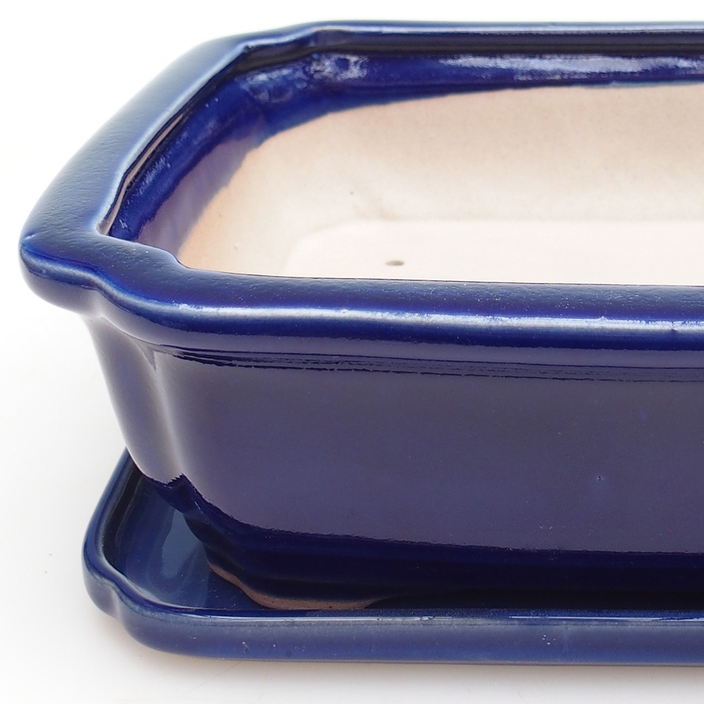 Cuenco bonsái + platillo H07 - 30 x 20,5 x 8 cm.