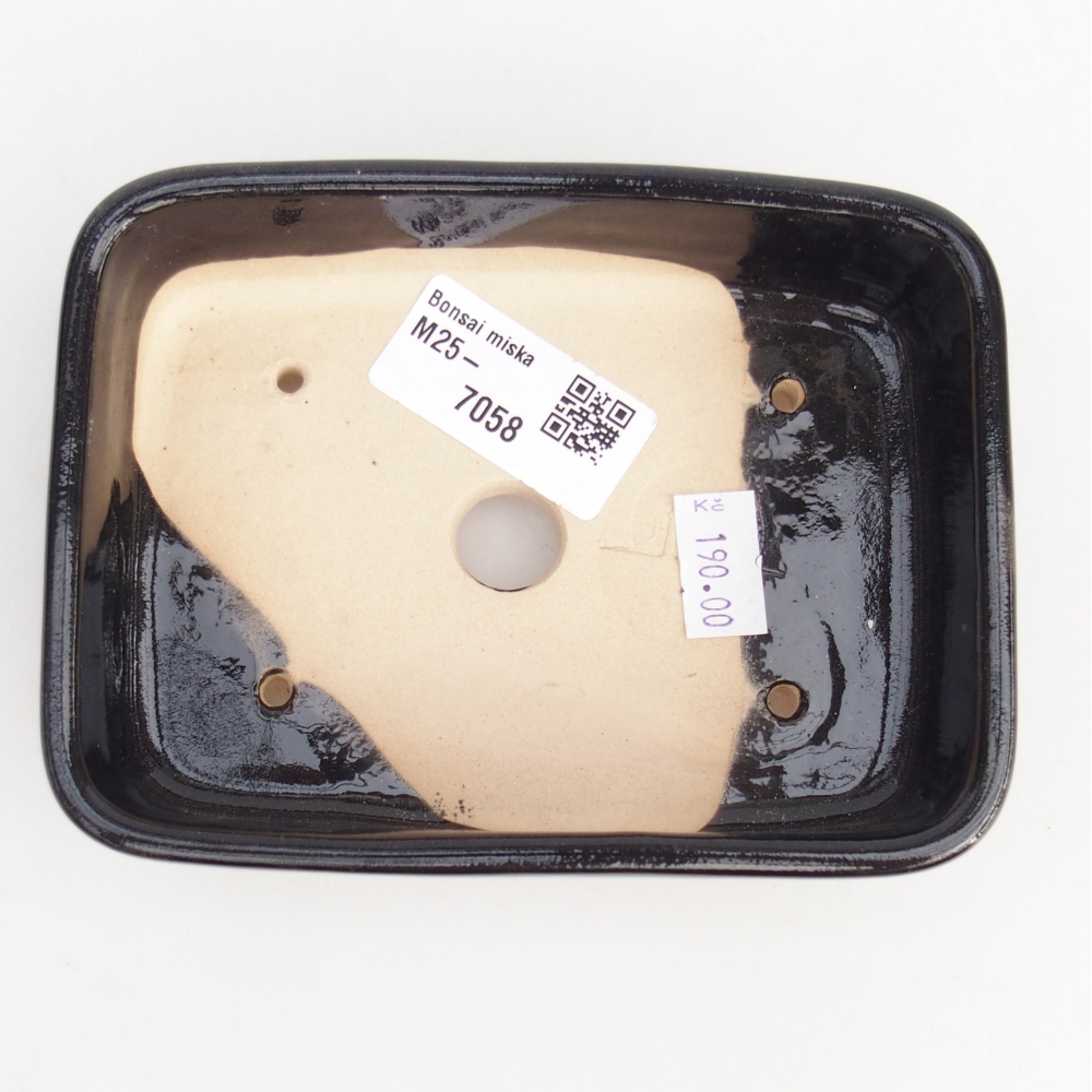Cuenco bonsái de cerámica 12,5 x 9,5 x 3,5 cm, negro