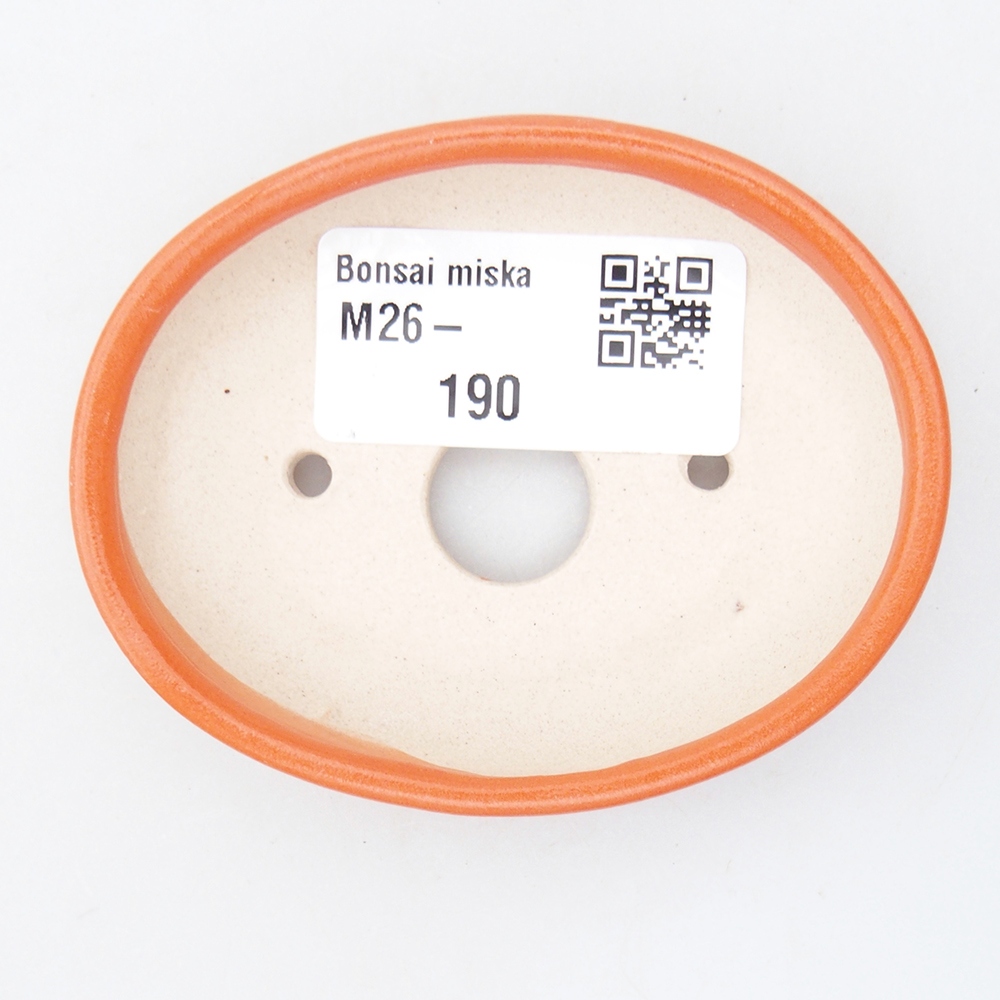 Mini cuenco bonsái 7,5 x 6 x 2 cm, naranja