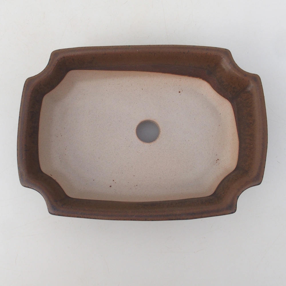 Cuenco bonsái H17 - 15 x 10 x 4 cm - marrón
