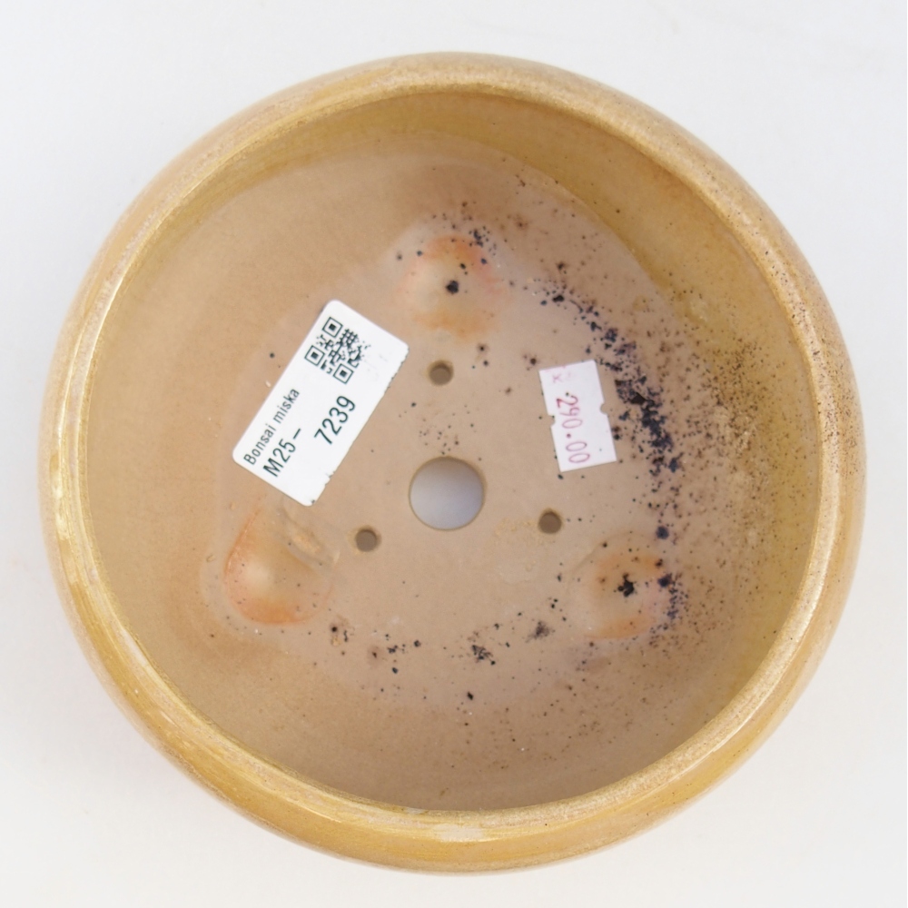 Cuenco bonsái de cerámica 14,5 x 14,5 x 7 cm, color beige