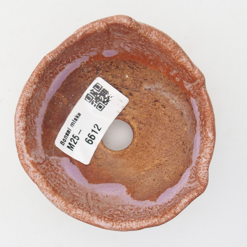 Concha de cerámica 9 x 8,5 x 6,5 cm , color morado