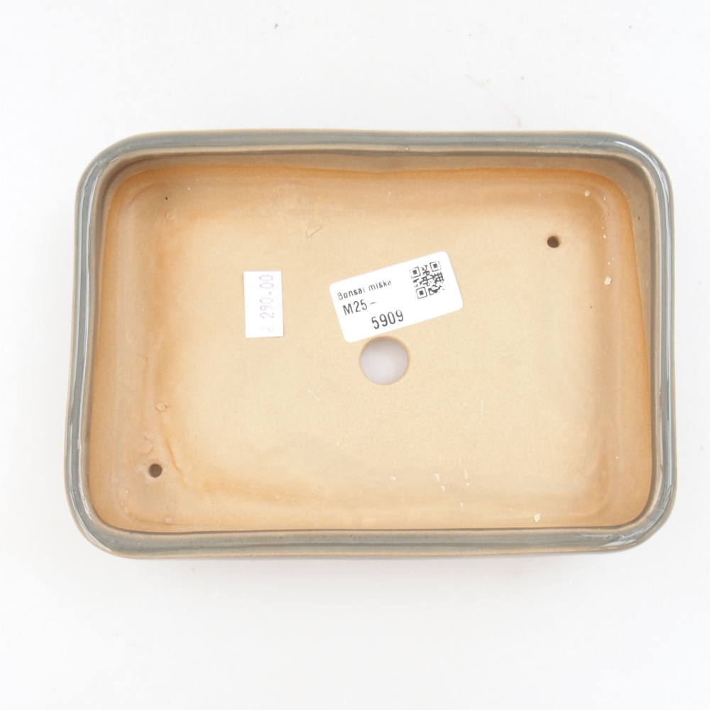 Cuenco bonsái de cerámica 22 x 17 x 5 cm, verde