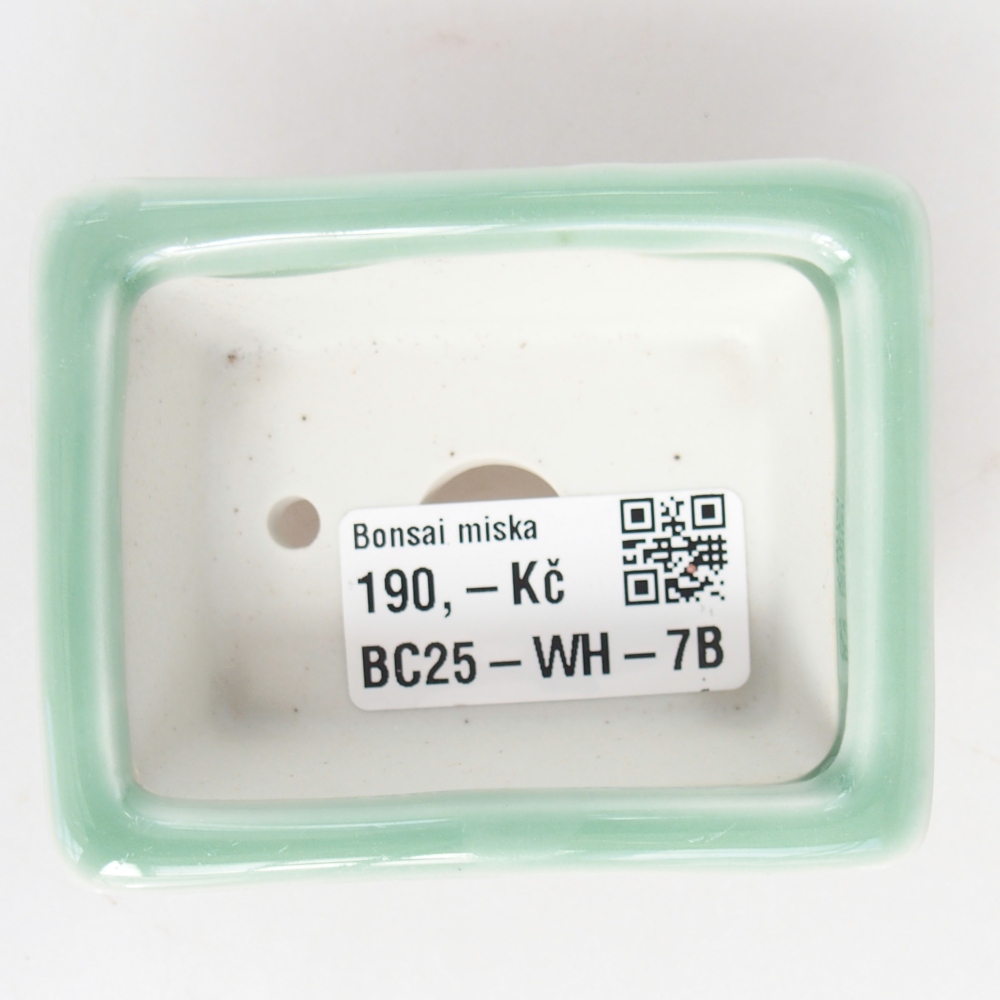 Cuenco mini bonsái 8 x 6 x 3 cm, verde