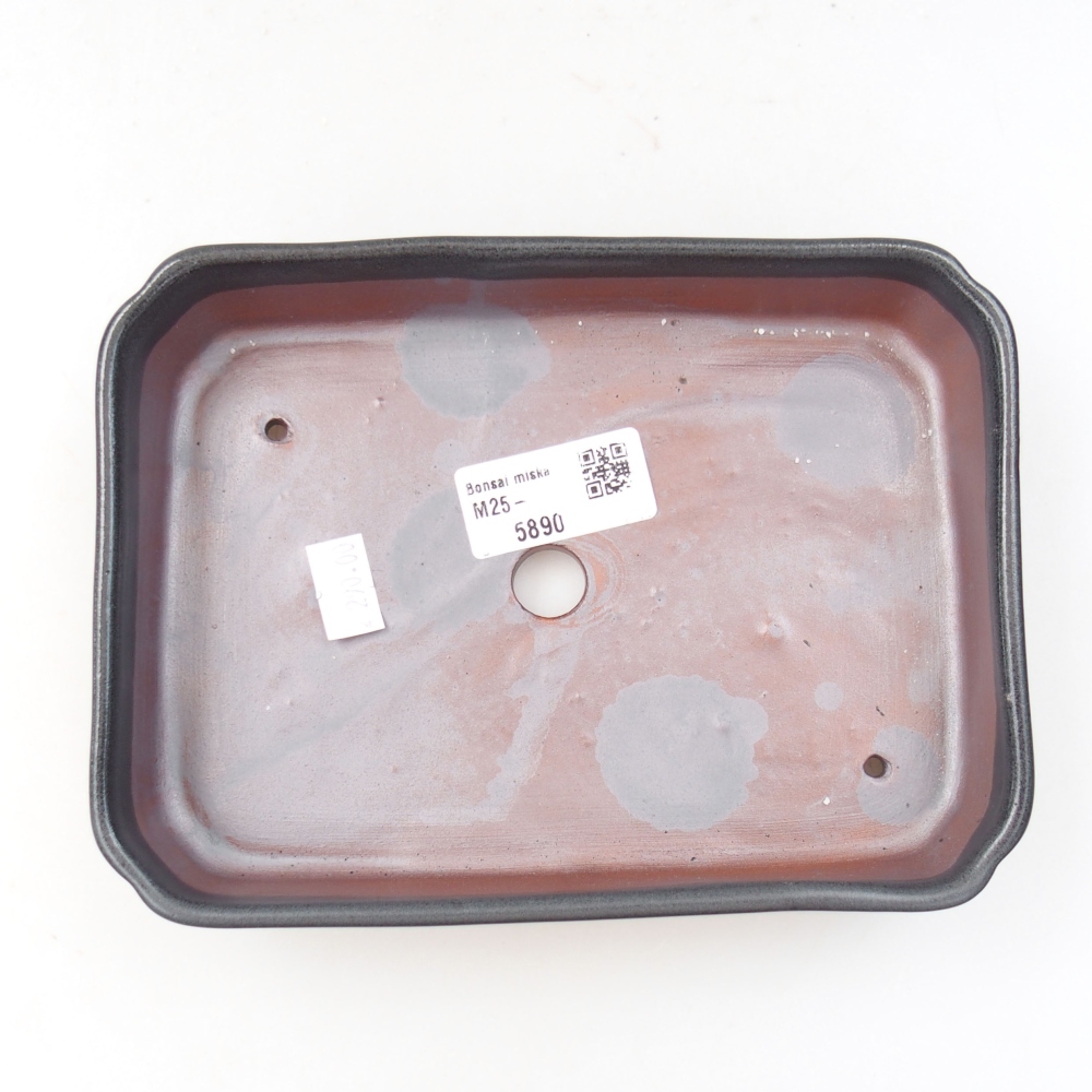 Cuenco bonsái de cerámica 22 x 17 x 5 cm, verde