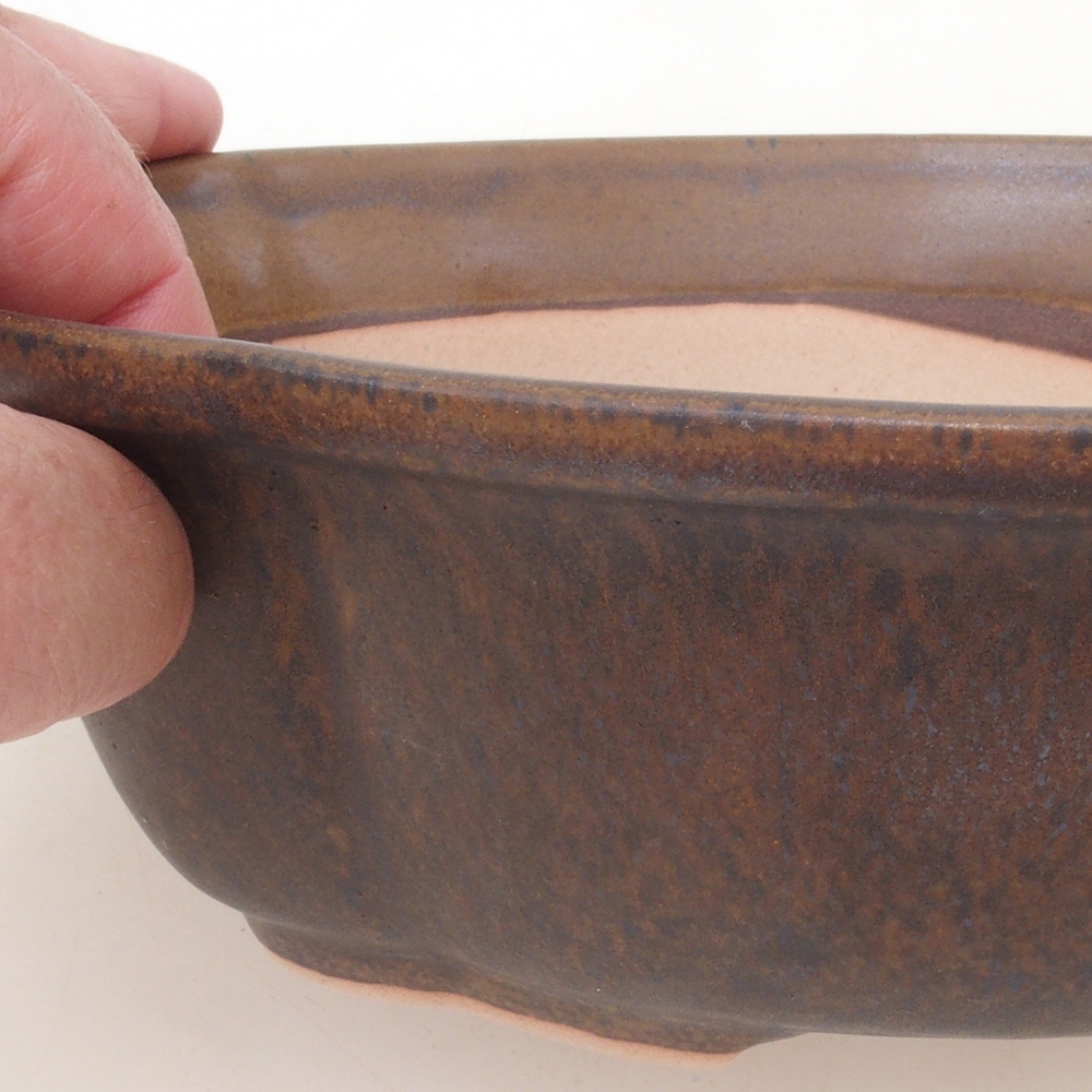 Cuenco bonsái H75 - 19 x 14 x 6,5 cm - marrón