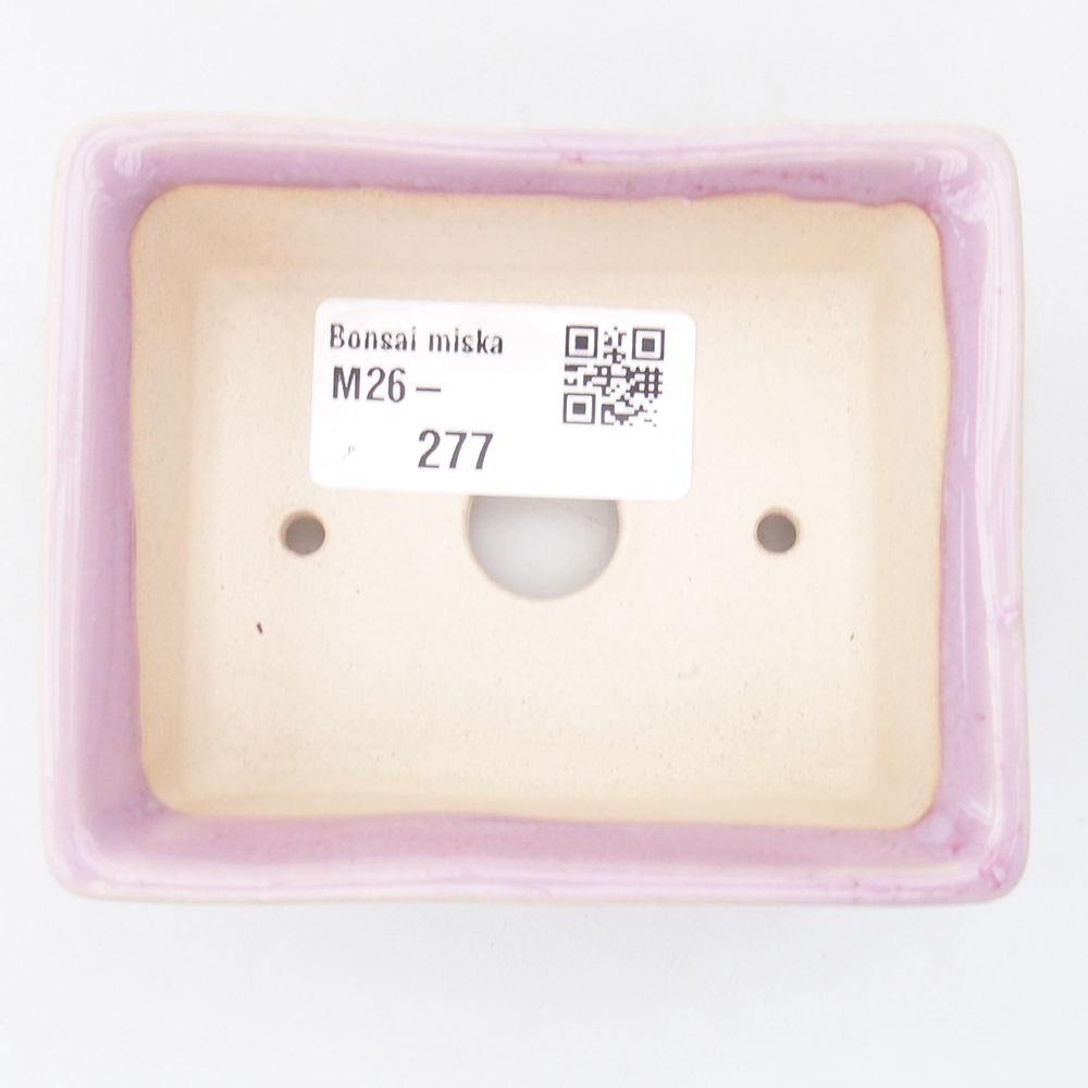 Mini cuenco bonsái 9 x 7 x 3,5 cm, rosa