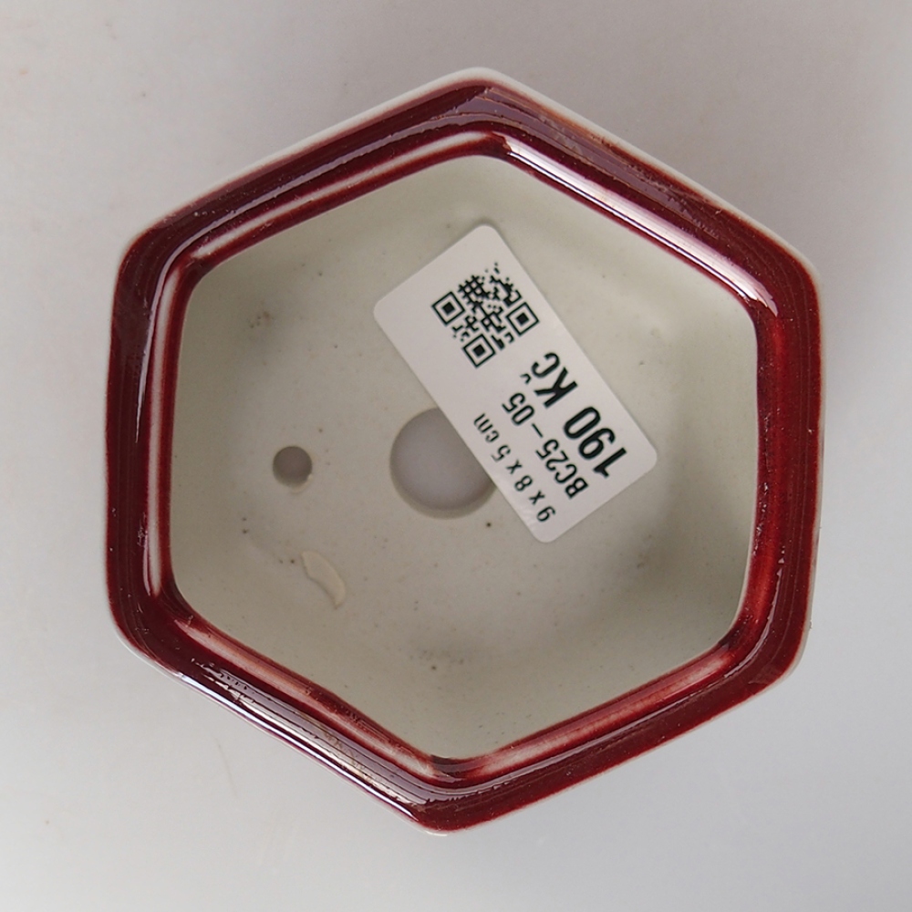 Cuenco bonsái de cerámica 9 x 8 x 5 cm, color rojo