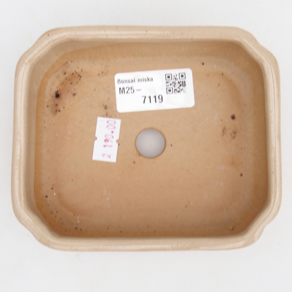 Cuenco bonsái de cerámica 12 x 10 x 4 cm, color beige
