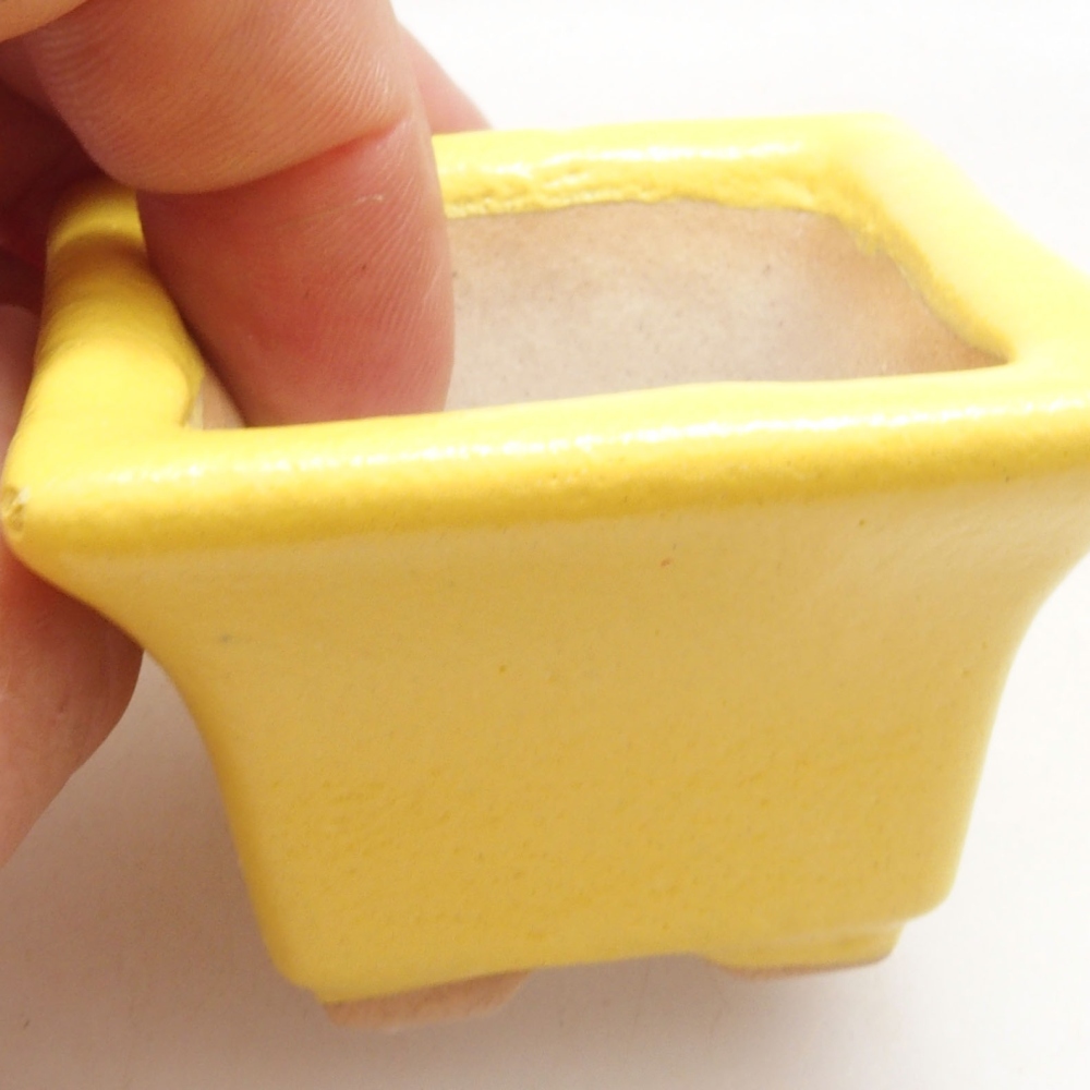Cuenco bonsái de cerámica 5 x 5 x 3,5 cm, amarillo