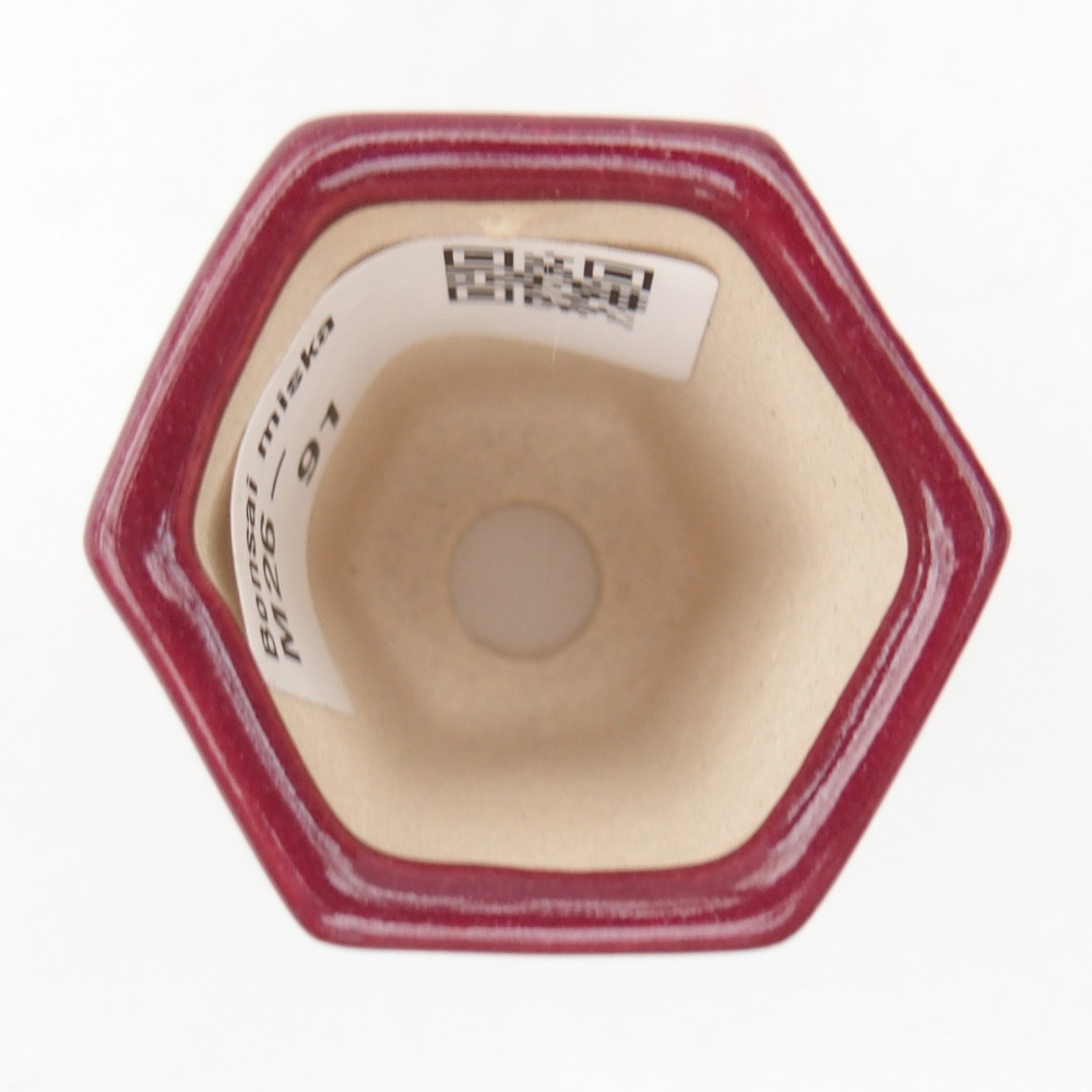 Cuenco mini bonsái 4 x 3,5 x 5,5 cm, burdeos