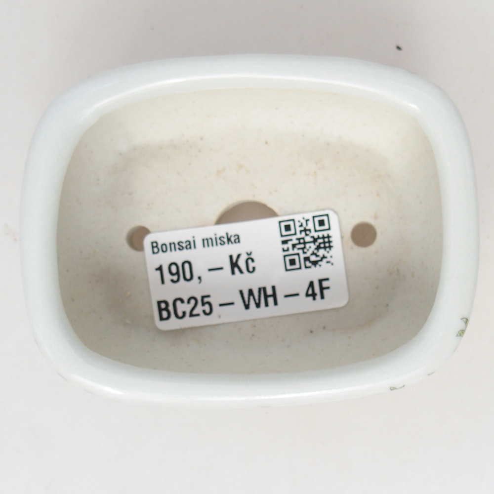 Mini cuenco bonsái 8 x 6 x 3 cm, blanco
