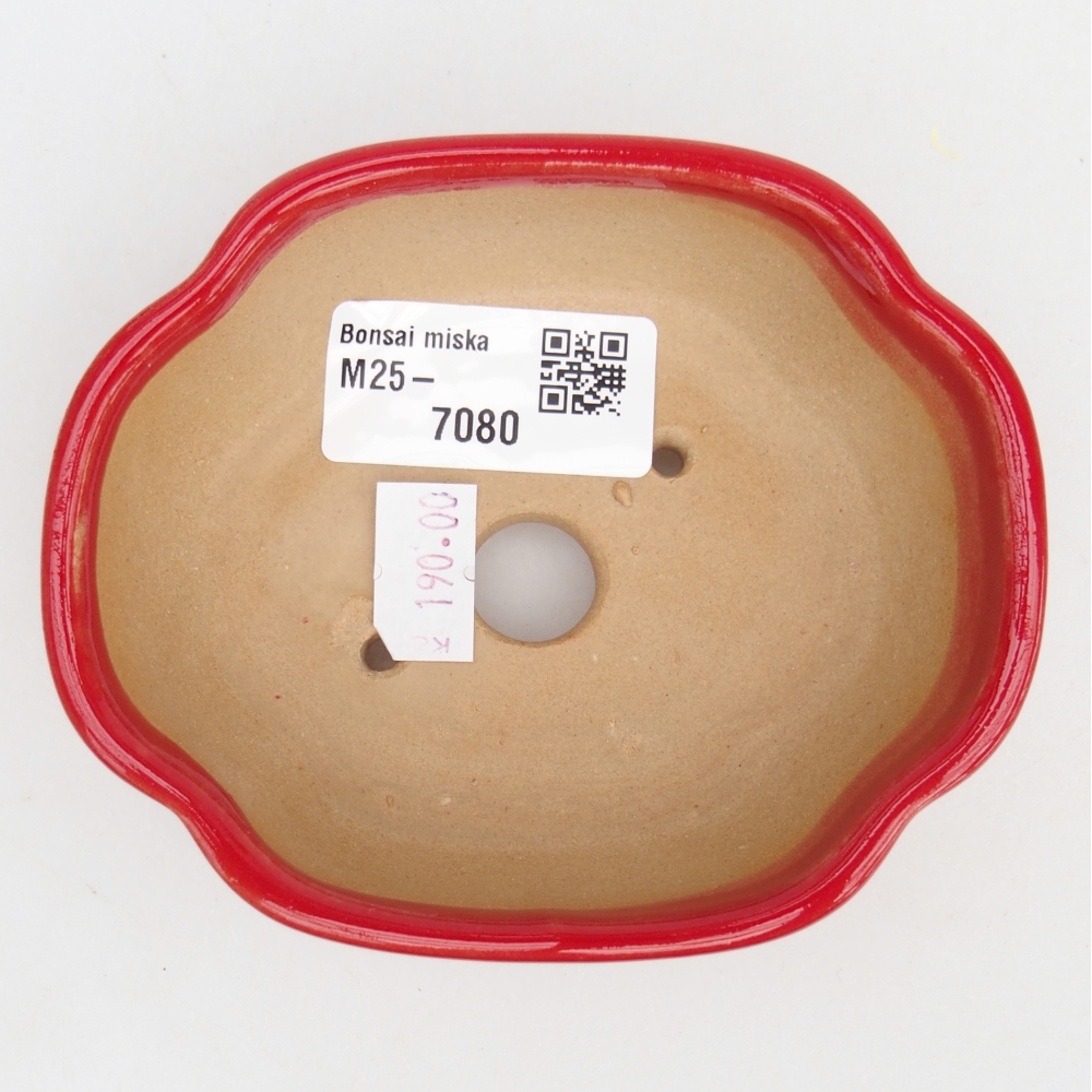Cuenco bonsái de cerámica 10,5 x 9 x 3,5 cm, color rojo