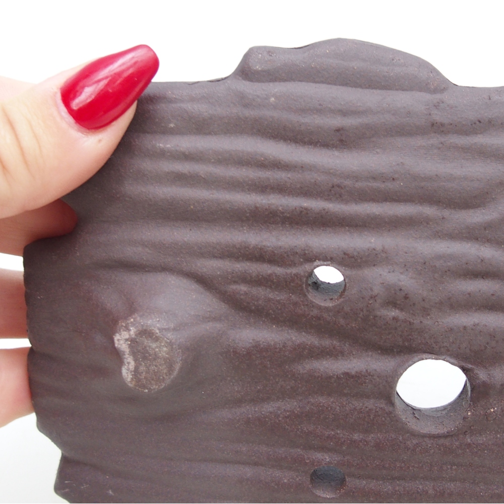 Concha de cerámica 16 x 12 x 3 cm , color marrón