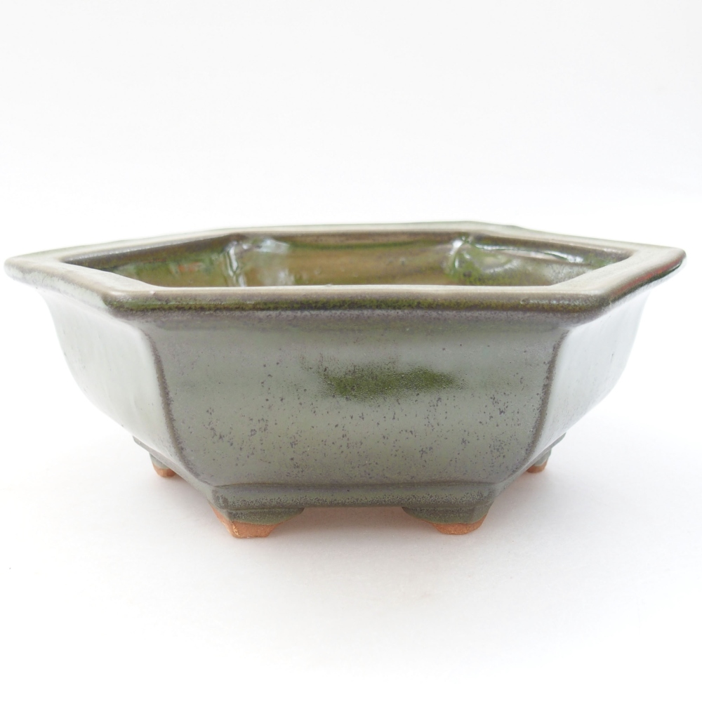 Cuenco bonsái de cerámica 22 x 17 x 5 cm, verde