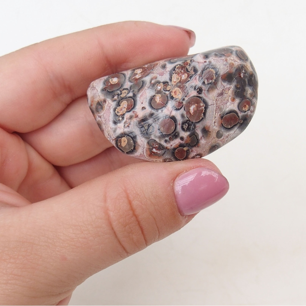 Suiseki - Piedra con DAI (base de madera)