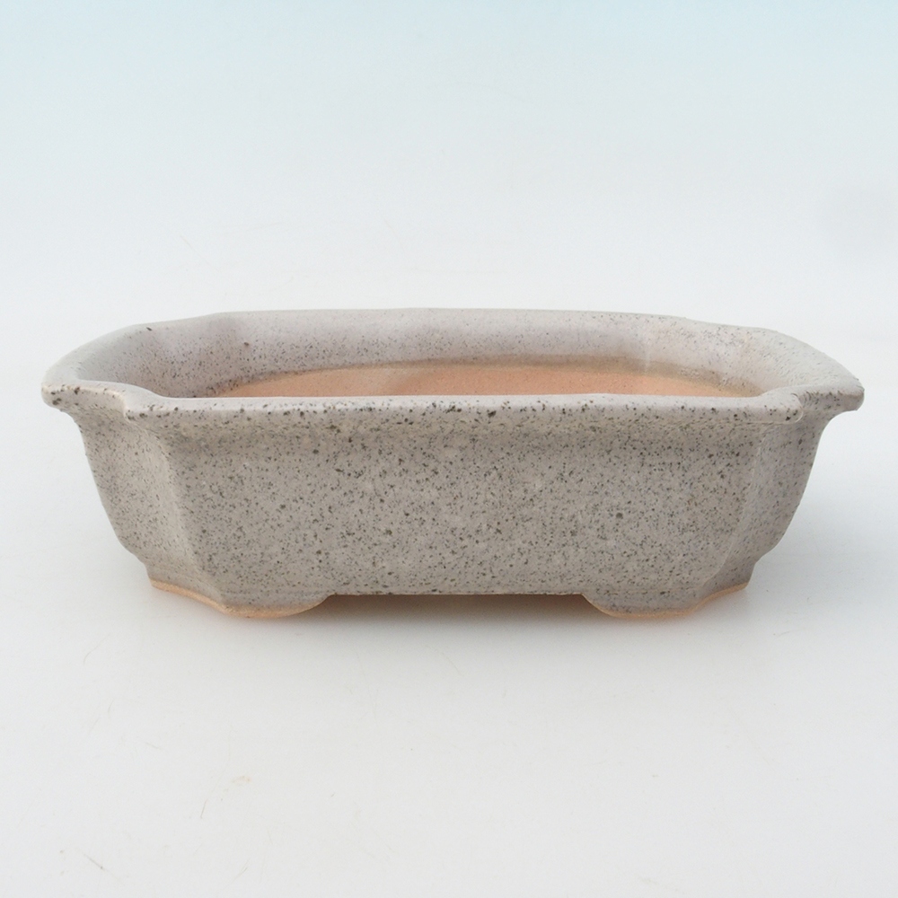 Cuenco para bonsái H17 - 15 x 10 x 4 cm.