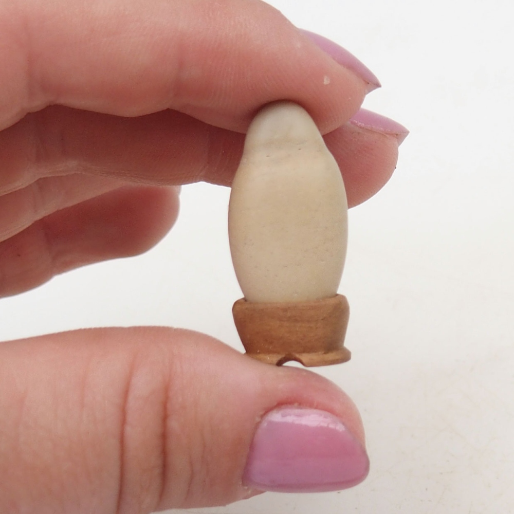 Suiseki - Piedra con DAI (base de madera)