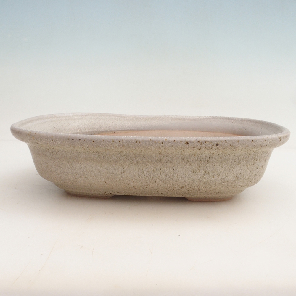 Cuenco bonsái H25 - 23 x 17 x 5,5 cm - beige