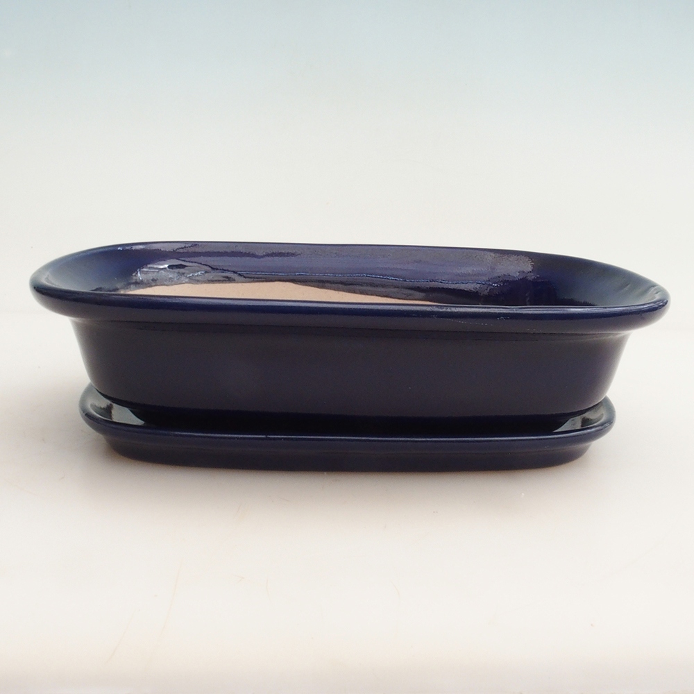 Cuenco bonsái + platillo H25 - 23 x 17 x 5,5 cm - azul
