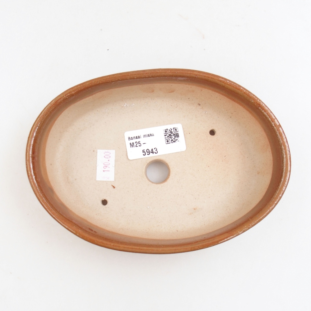 Cuenco bonsái de cerámica 22 x 17 x 5 cm, verde