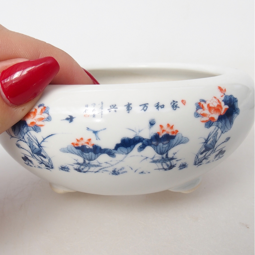 Cuenco bonsái de cerámica 10 x 10 x 5 cm, color blanco