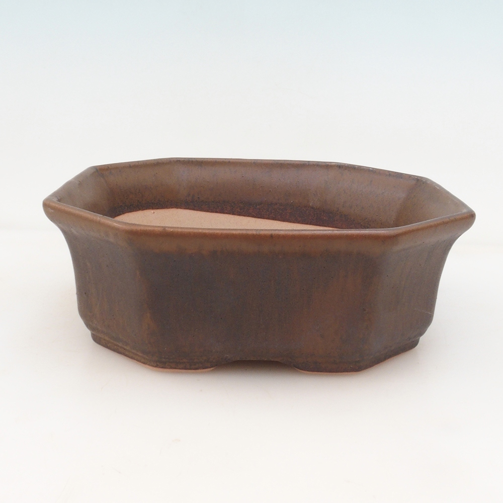 Cuenco bonsái H14 - 17,5 x 17,5 x 6 - marrón