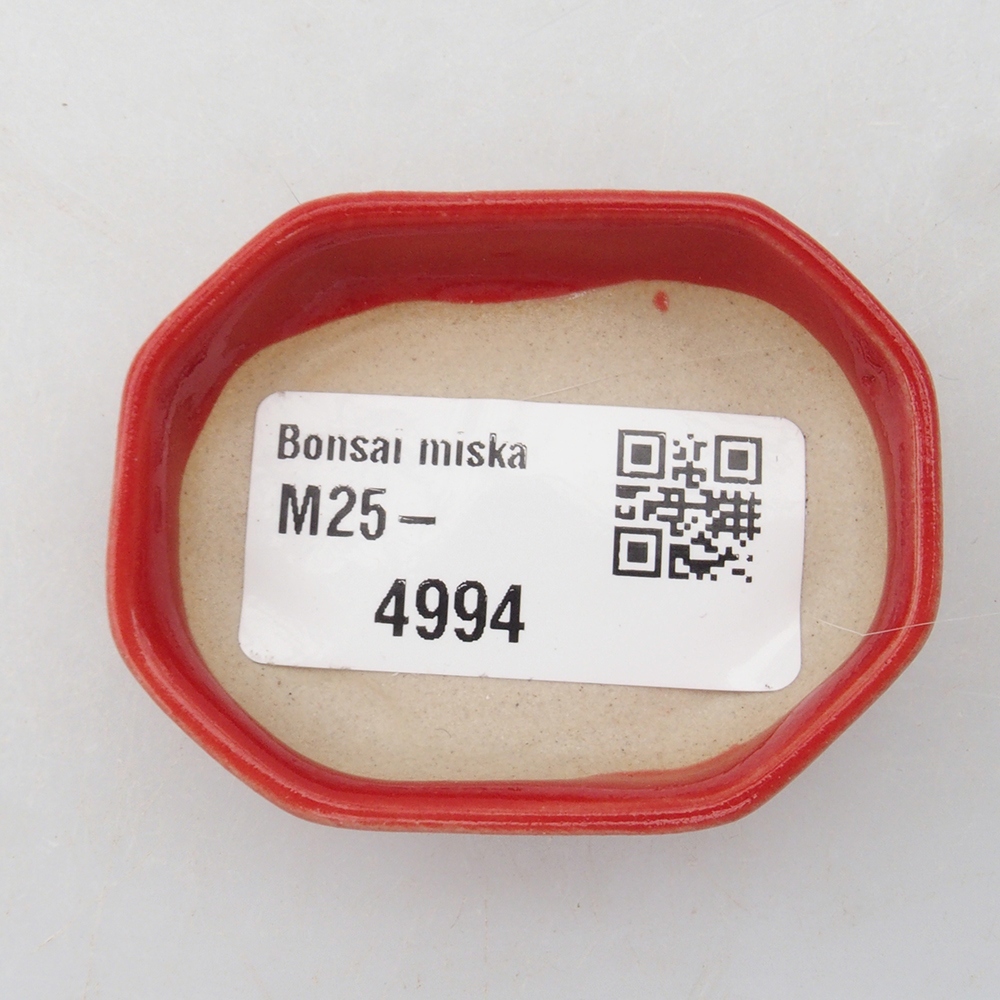 Cuenco mini bonsái 5,5 x 4 x 1,5 cm, color rojo