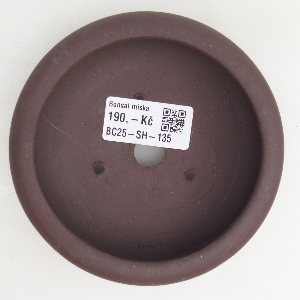 Cuenco bonsái de cerámica 11,5 x 11,5 x 4 cm, marrón
