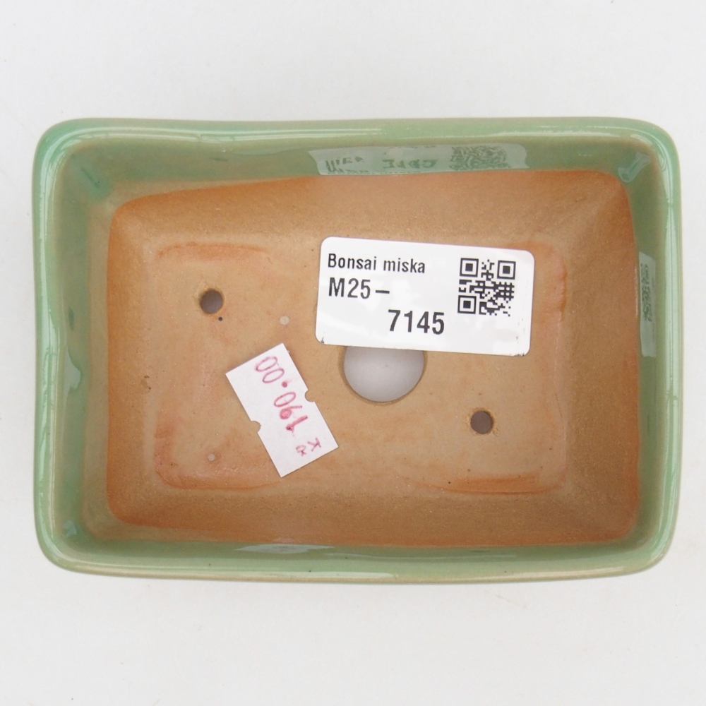 Cuenco bonsái de cerámica 10,5 x 7,5 x 4,5 cm, verde