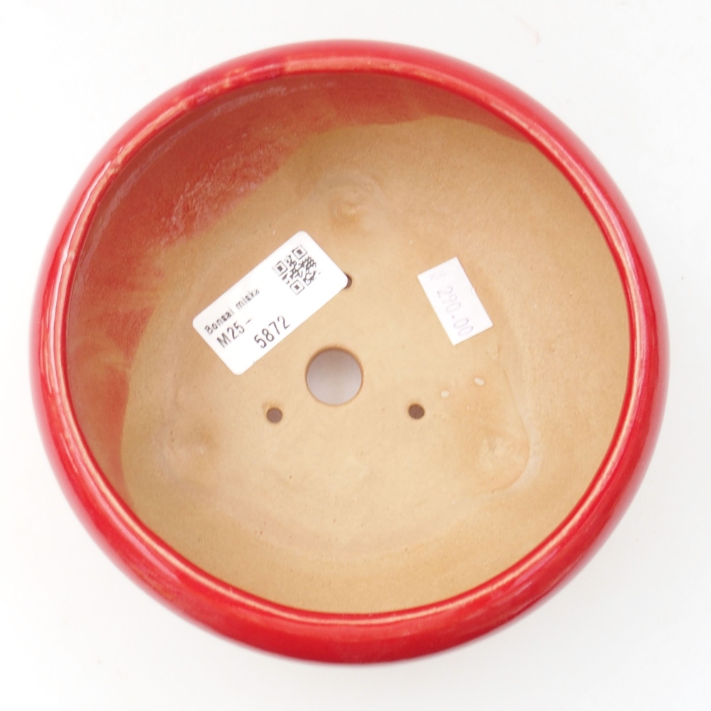 Cuenco bonsái de cerámica 22 x 17 x 5 cm, verde