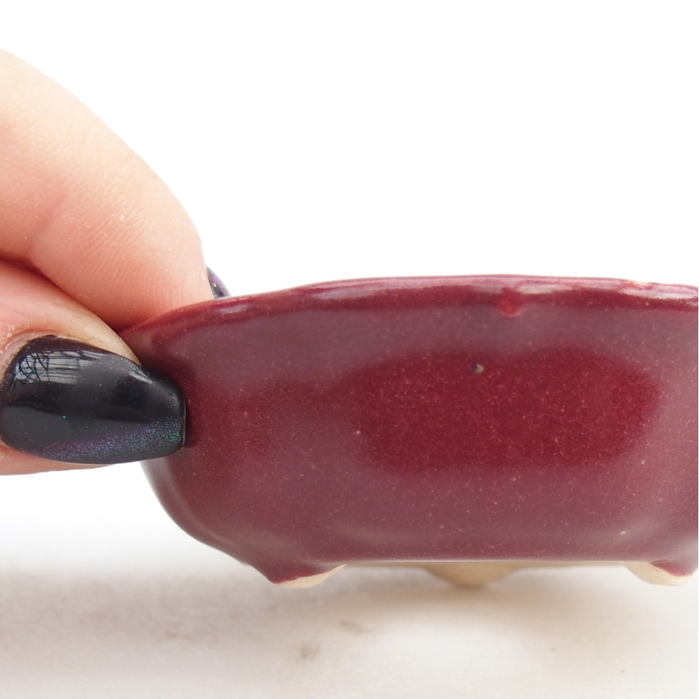 Mini cuenco bonsái 7,5 x 7,5 x 2,5 cm, burdeos