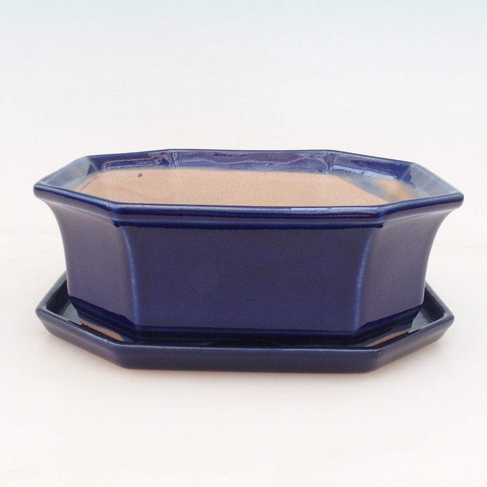 Bonsai cuenco + platillo H14 - azul