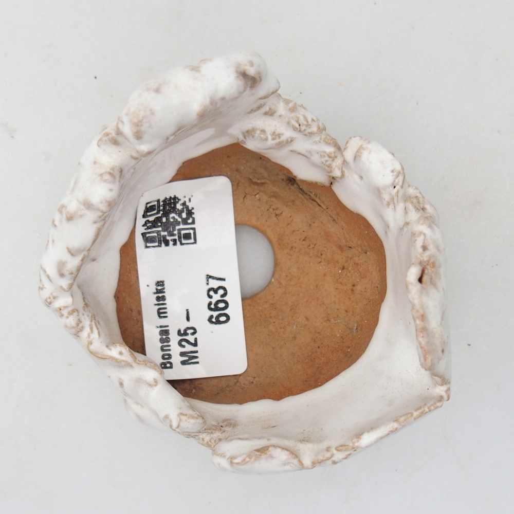 Concha de cerámica 7 x 6,5 x 5 cm , color blanco