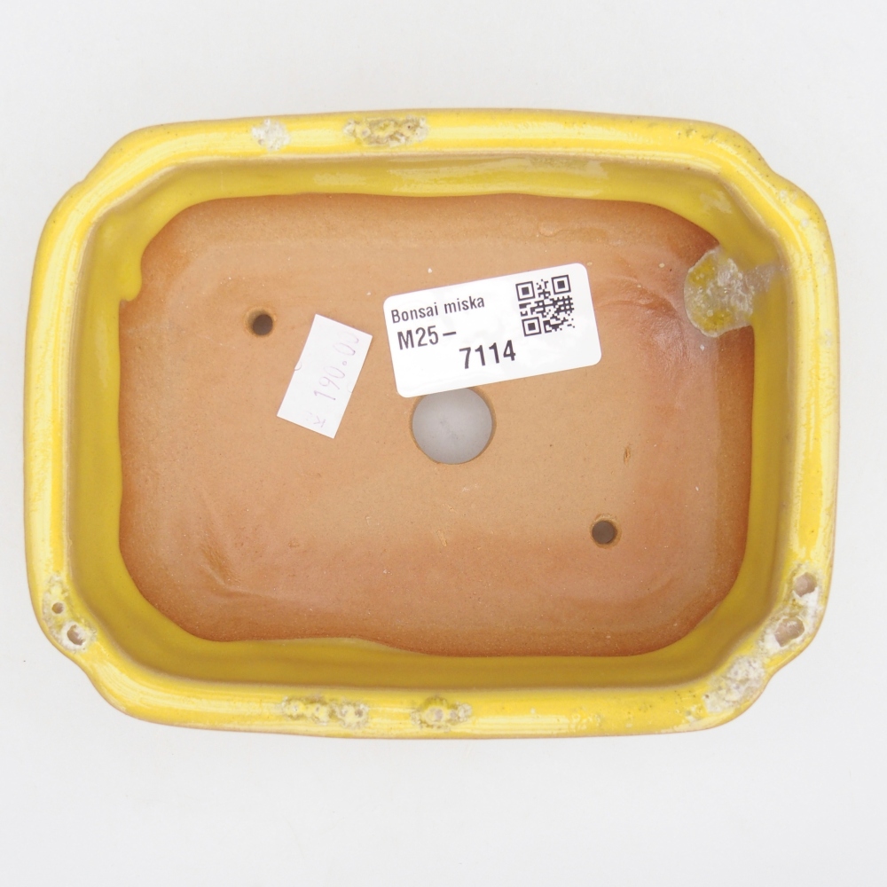 Cuenco bonsái de cerámica 14 x 11 x 4 cm, amarillo