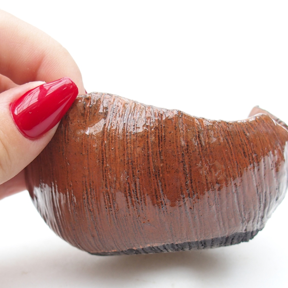 Concha de cerámica 8 x 8 x 5 cm , color naranja