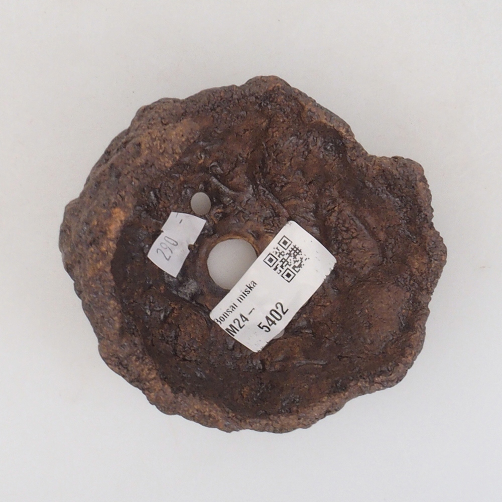 Concha de cerámica 9 x 8 x 9,5 cm , color marrón