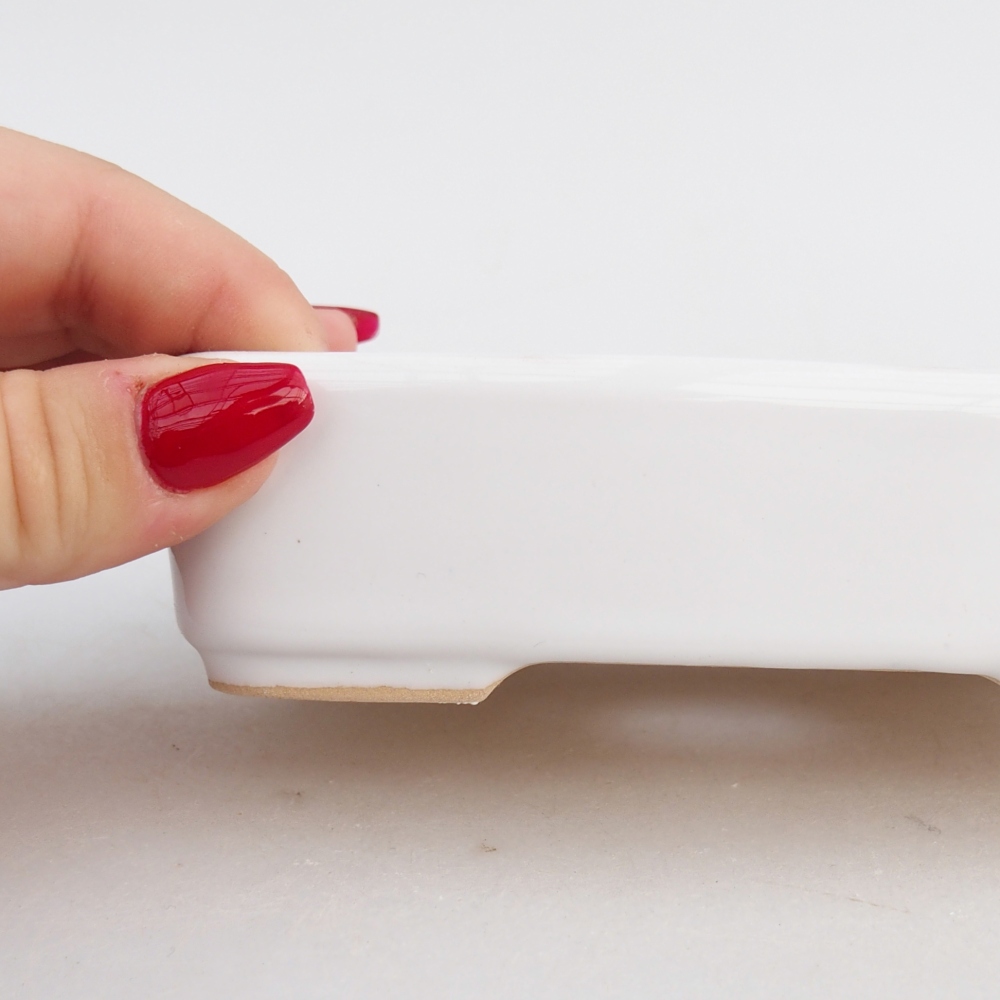 Cuenco bonsái de cerámica 12,5 x 9,5 x 3,5 cm, color blanco