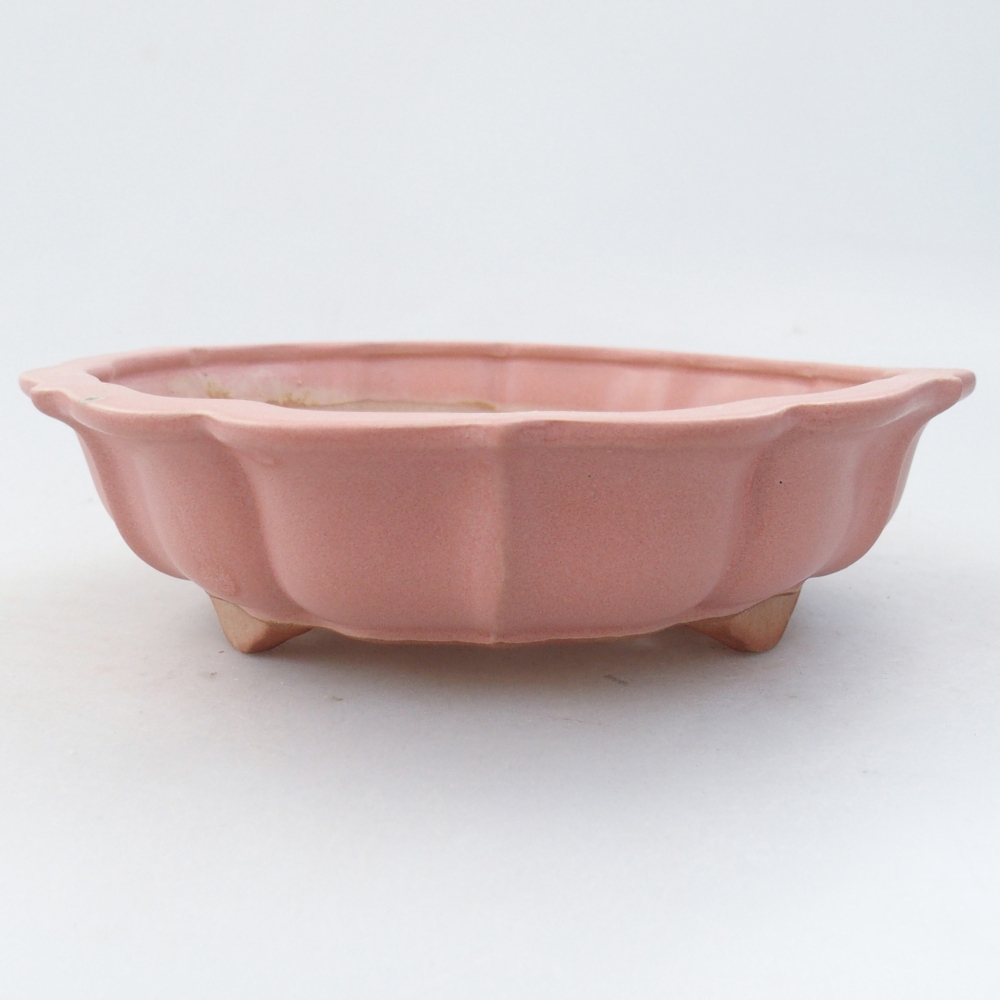 Cuenco bonsái de cerámica 19 x 19 x 5 cm, rosa