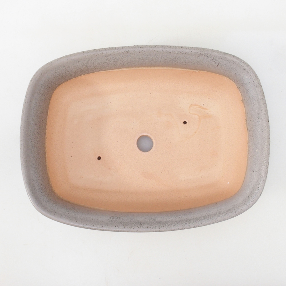 Cuenco bonsái H09 - 30 x 23 x 7,5 cm - beige