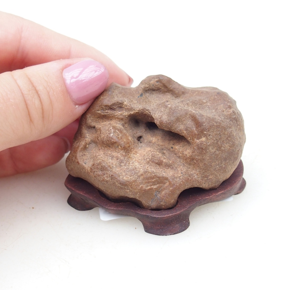 Suiseki - Piedra con DAI (base de madera)