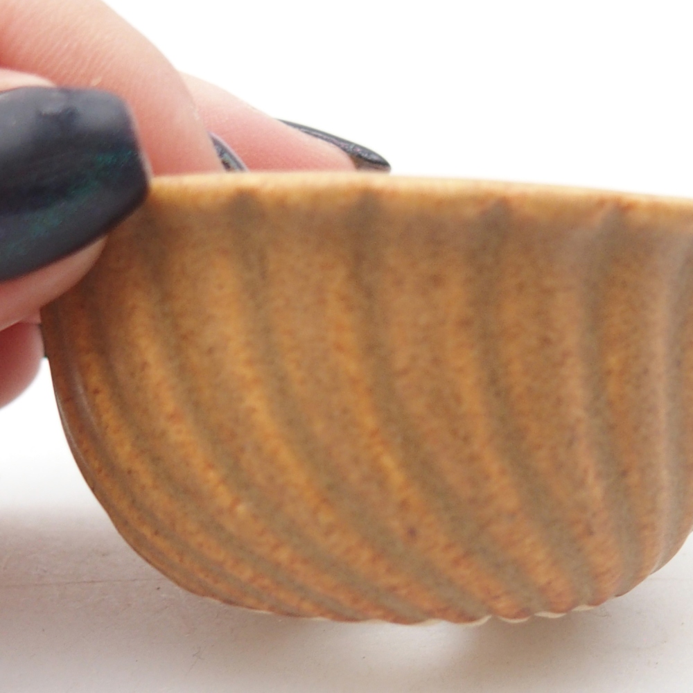 Mini cuenco bonsái 5,5 x 5,5 x 3 cm, marrón