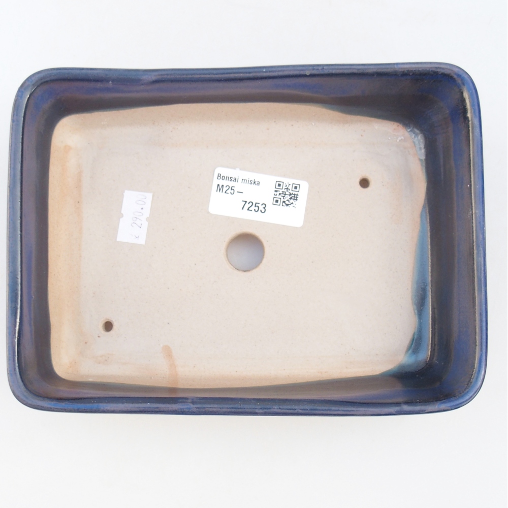 Cuenco bonsái de cerámica 18,5 x 13,5 x 3,5 cm, color azul