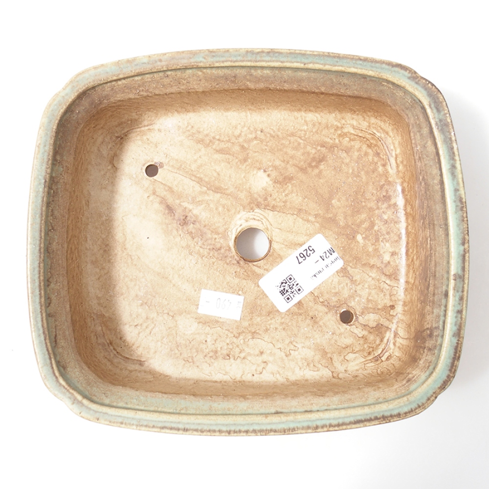 Cuenco bonsái de cerámica 19,5 x 16,5 x 6 cm, verde