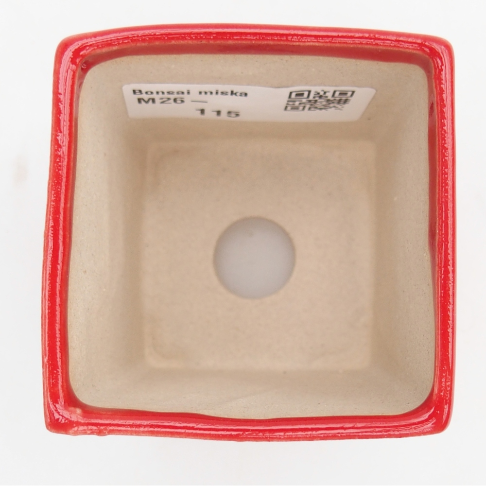 Mini cuenco bonsái 5,5 x 5,5 x 6,5 cm, color rojo